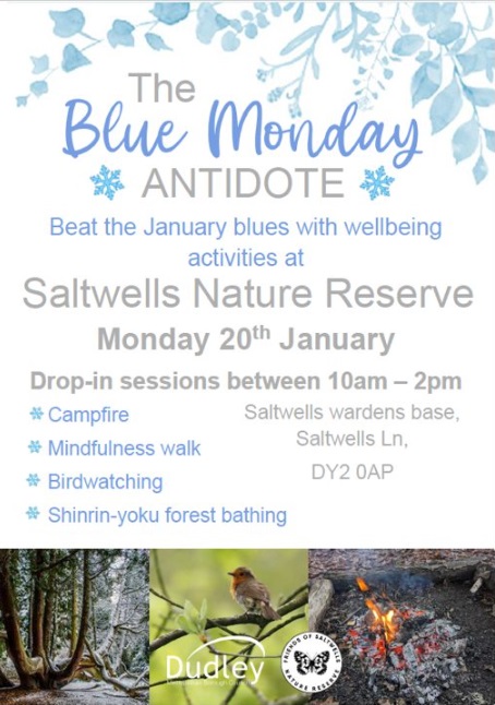 Saltwells Nature Reserve - The Blue Monday Antidote